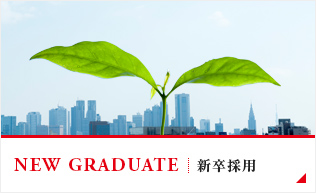 新卒採用