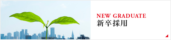 新卒採用